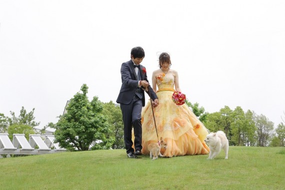 ペット　ウェディング