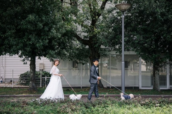 犬　結婚式