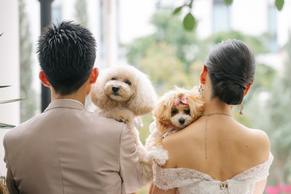 愛犬　ウェディングフォト